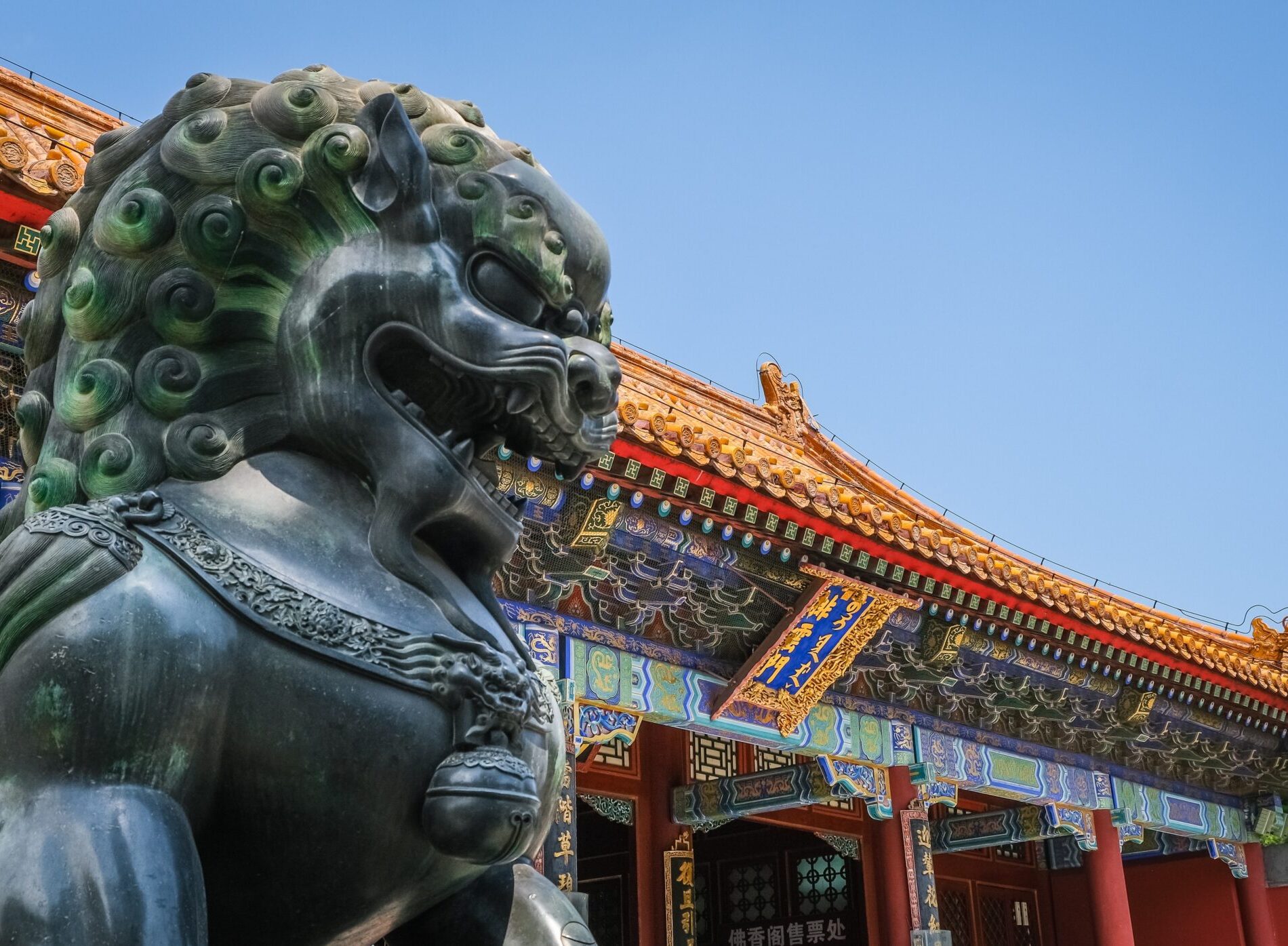 China Lion China Lion